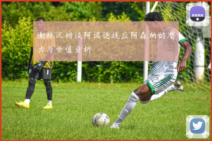 谢林汉姆谈阿诺德适应阿森纳的潜力与价值分析
